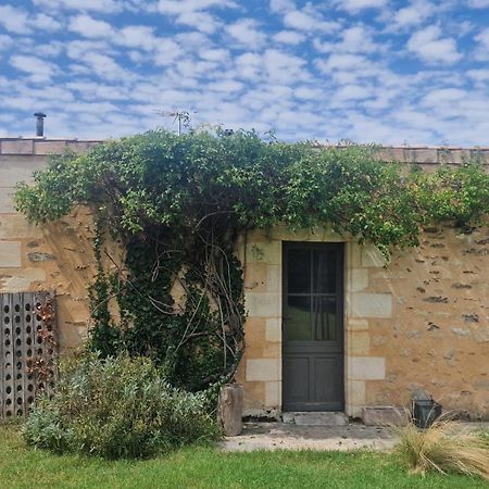 Casita Alegria & Cabana Alegria - 2 Chambres D'Hotes Plassac (Gironde) Exterior foto
